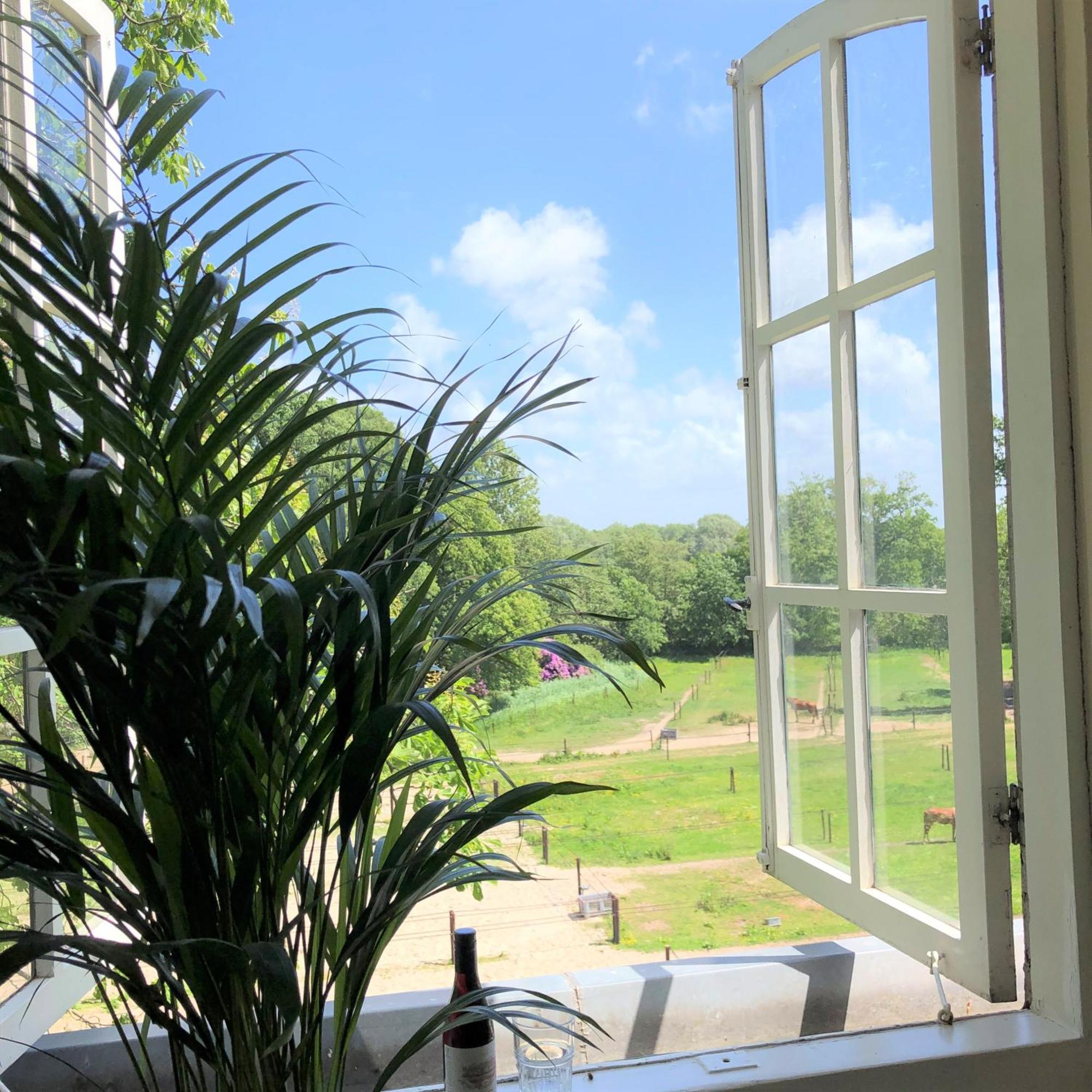 Eco Hotel Plantage Rococo Velsen-Zuid Bilik gambar